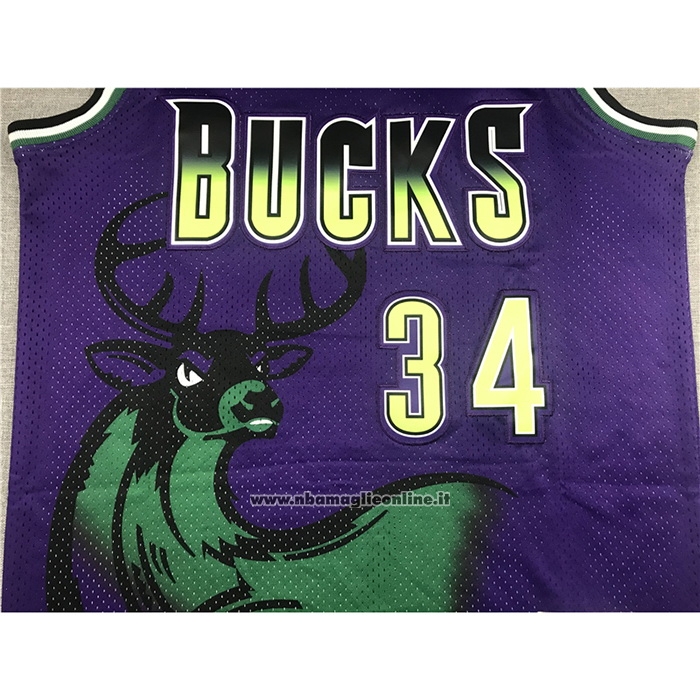 Maglia Milwaukee Bucks Ray Allen #34 Mitchell & Ness 1996-97 Viola